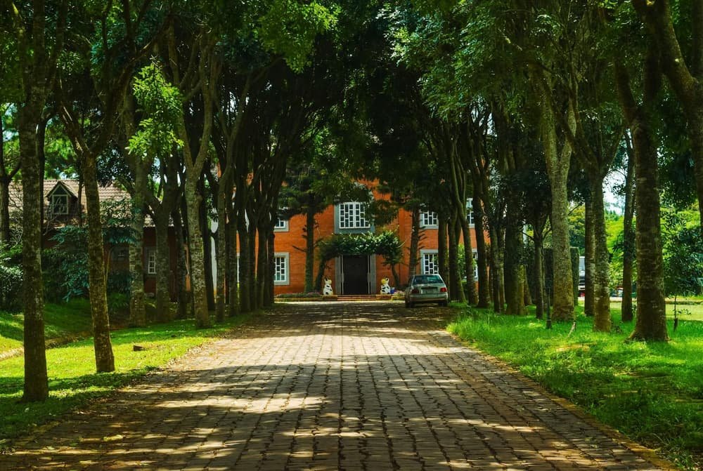 Garage door services in Pembroke Park